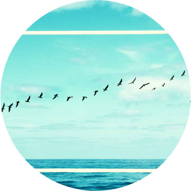 04